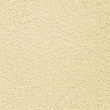 Masland Ravishing Enticing 9625-104
