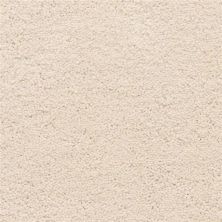 Masland Ravishing Beautiful 9625-122
