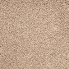 Masland Ravishing Ideal 9625-219