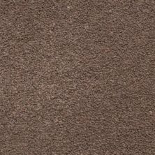 Masland Ravishing Elegant 9625-725