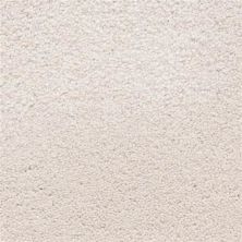Masland Ravishing Radiant 9625-826