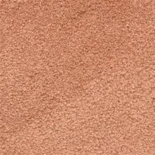 Masland Ravishing Eye-Catching 9625-948