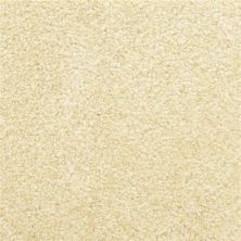 Masland Delray Seashell 9628-111