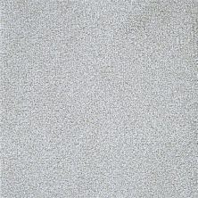 Masland Delray Ebb Tide 9628-328