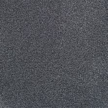 Masland Delray Dolphin 9628-898