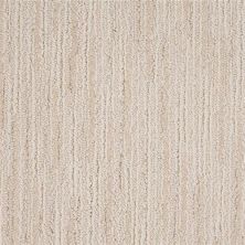 Masland Artist View Titanium Buff 9637-111