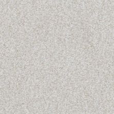 Masland Boca Raton Lasting Taupe 9650-124