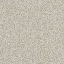 Masland Boca Raton Everlasting 9650-212