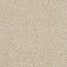 Masland Boca Raton Ageless 9650-213