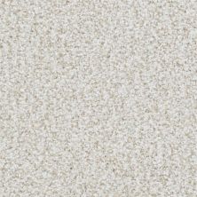 Masland St. Augustine Lasting Taupe 9651-124