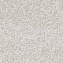Masland Sunset Key Lasting Taupe 9669-124