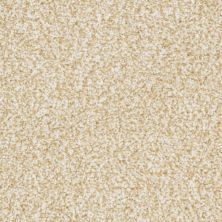 Masland Sunset Key Ageless 9669-213