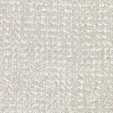 Masland Pedigree Vanity Fur 9690-729