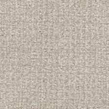 Masland Pedigree In-Corgnito 9690-747