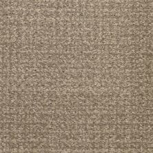 Masland Pedigree Fur Sure 9690-861