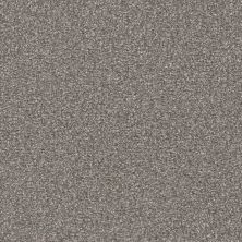 Masland Hunter Beethoven 9691-978