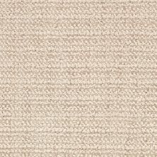 Masland Beguiling Angora 9714-222