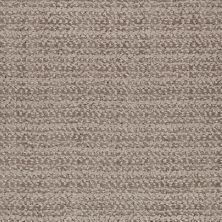 Masland Beguiling Sable 9714-868