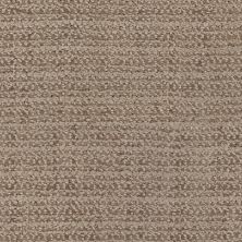 Masland Beguiling Earthen 9714-871