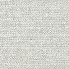Masland Beguiling Chic Grey 9714-929