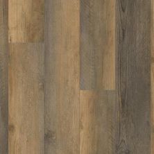 Trucor 5 Series Amber Pine P1039-D4001
