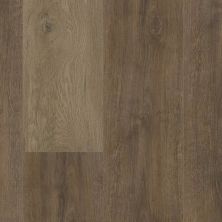 Trucor 7 Series Autumn Oak P1061-D3313