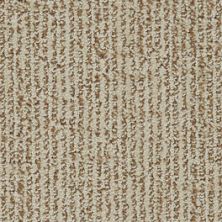 Dixie Home Pop Art Pebble Mosaic D043-32041