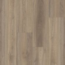 Trucor Prime XL 12 Collection Banff Oak P2248-MC278