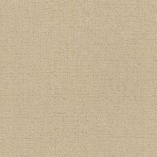 Fabrica Bangladesh Wheat 333BD-742BD