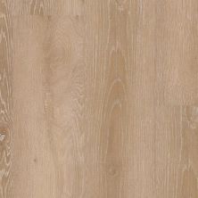 Trucor Alpha Collection Barley Oak P1028-D8005