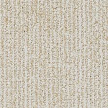Dixie Home Pop Art Pebble Mosaic D043-32047