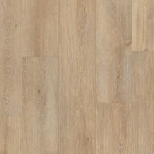 Trucor Prime Xxl Collection Bristol Oak P2237-M9142