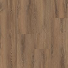 Trucor Prime XL 12 Collection Burnaby Oak P2248-MC298