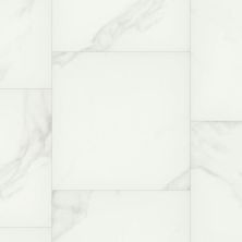 Dixie Home Trucor® Tile With Igt Tile with IGT Collection in Calcutta Bianco S1109-D3903