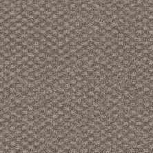 Dixie Home Calm Brew House D082-84394