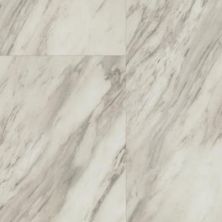 Dixie Home Trucor® Tile in Carrara Grey S1117-D1116