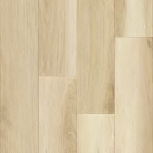 Trucor Charlie Moonstone P1064-D7753
