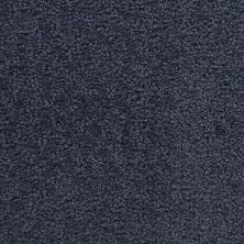 Dixie Home Prize Winner Blue Ribbon D006-61127