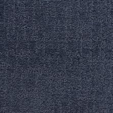 Dixie Home My Hero Blue Ribbon D007-61127