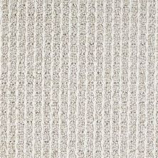 Dixie Home Conqueror First Choice D010-83113