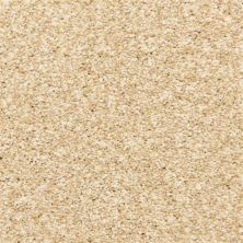 Dixie Home Rochelle Champagne D013-11100