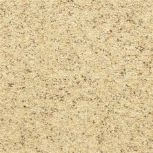 Dixie Home Star Power Sand Motif D020-20179
