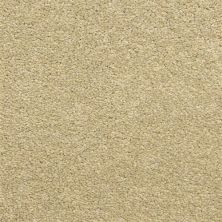 Dixie Home Star Power Driftwood D020-21238