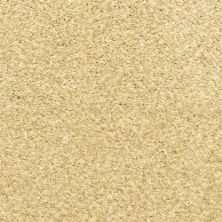 Dixie Home Star Power Portico D020-21286