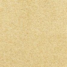 Dixie Home Star Power Camelite D020-25190