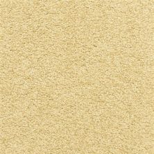 Dixie Home Star Power Suede D020-25220