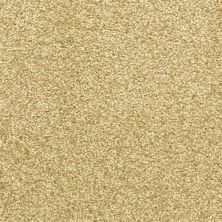 Dixie Home Star Power Cameo D020-25782