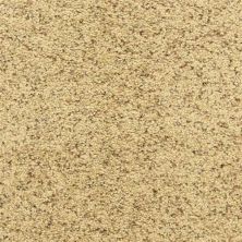 Dixie Home Star Power Pebble Mosaic D020-30171