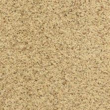 Dixie Home Star Power Pepper Spice D020-30182