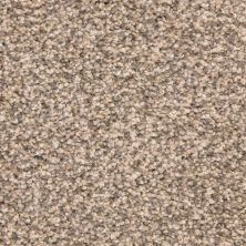 Dixie Home Star Power Statement D020-34392